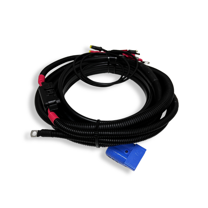 Main Wiring Harness – MORPHD